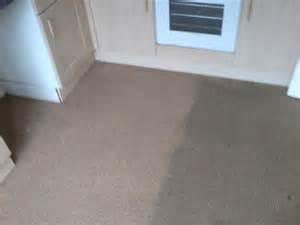 carpet cleaning Los Angeles