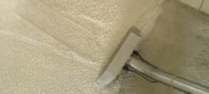 Los Angeles carpet cleaning